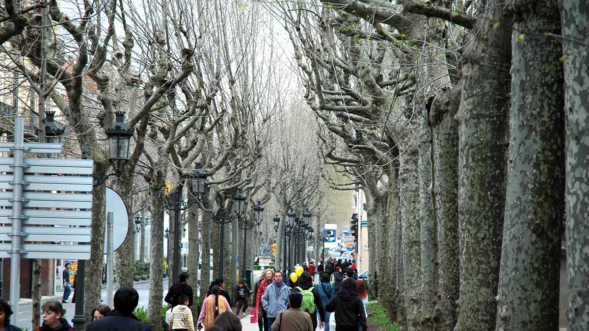 Passeig amb gent i arbres.