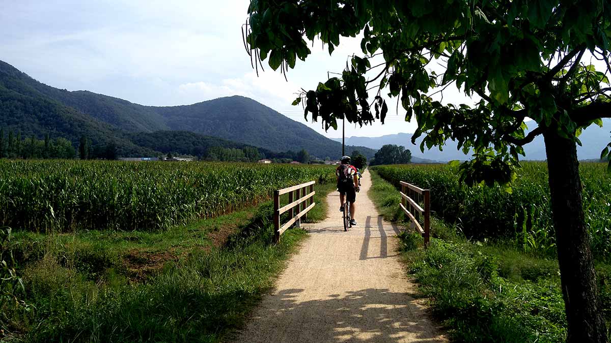 Via verda d'Olot a Girona amb un ciclista d'esquena.